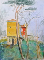 Portmeirion houses