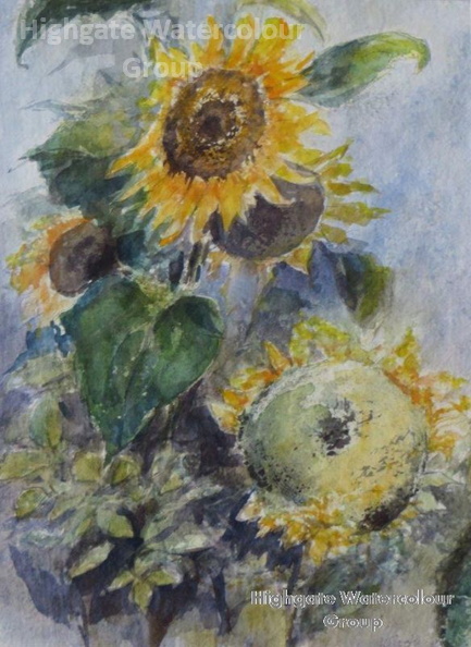 IMG_0232sunflowers_spotted2.jpg