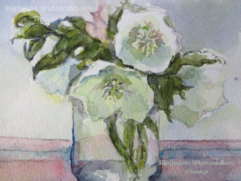 maureen_hellebore.jpg