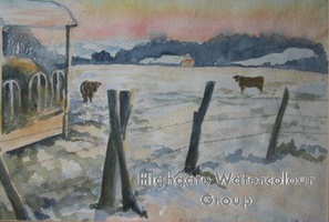Cows in the Snow