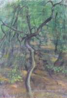 In the Woods