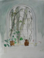 Trees in the Window