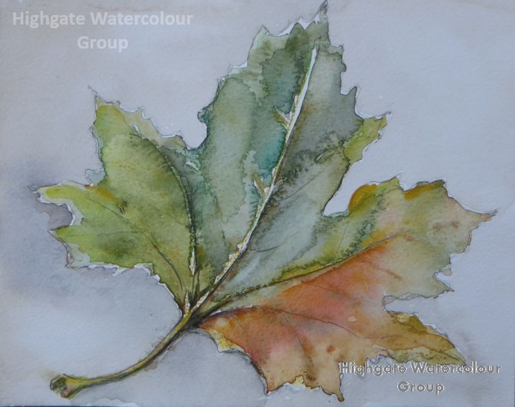 Autumn_leaf_cropped.JPG