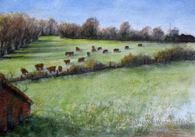 Country Morning