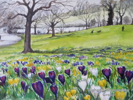 Waterlow Park in the Spring