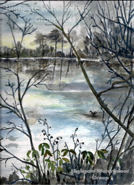 Kenwood_Bird_Sanctuary_Pond_in_Winter~1.jpg