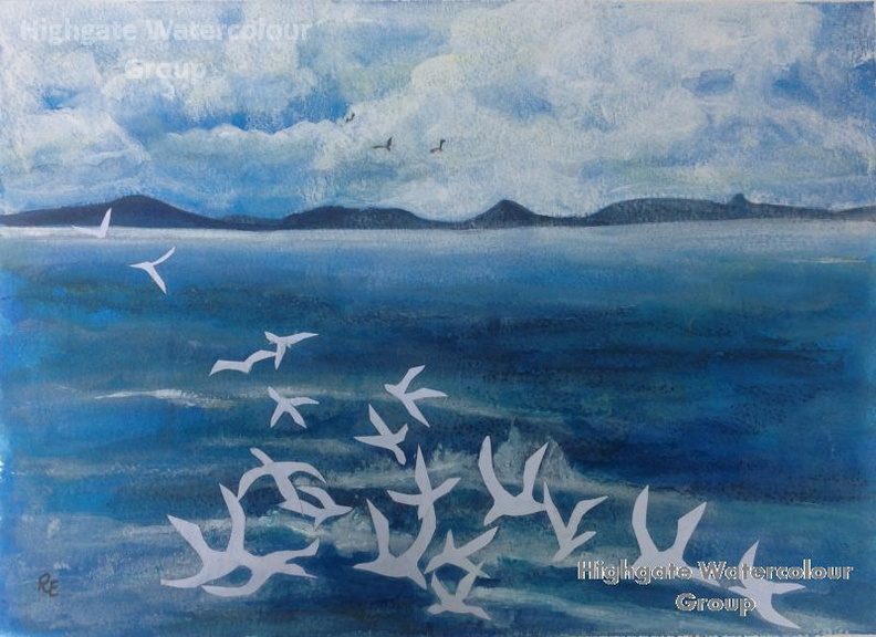 A_Bustle_of_Gulls.jpg