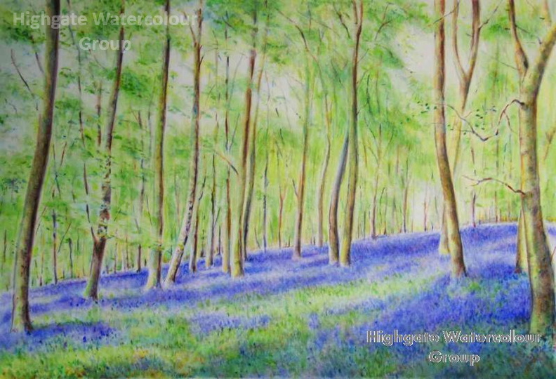 Bluebells.jpg