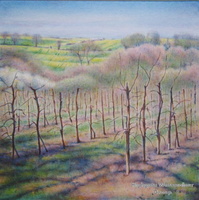 Spring Orchard