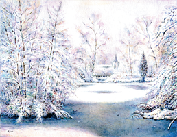 Winter Scene