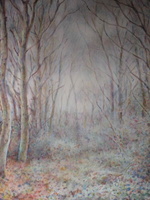 Winter Trees