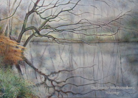 Old Pond, Forty Hall