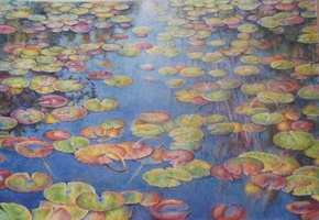 Waterlilies