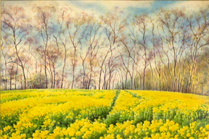 Yellowfield