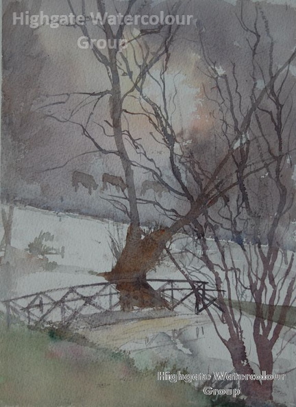 Vanessa_s_Cows_in_the_Mist2C_Ellingham_25Nov14_28129_HWG17.JPG