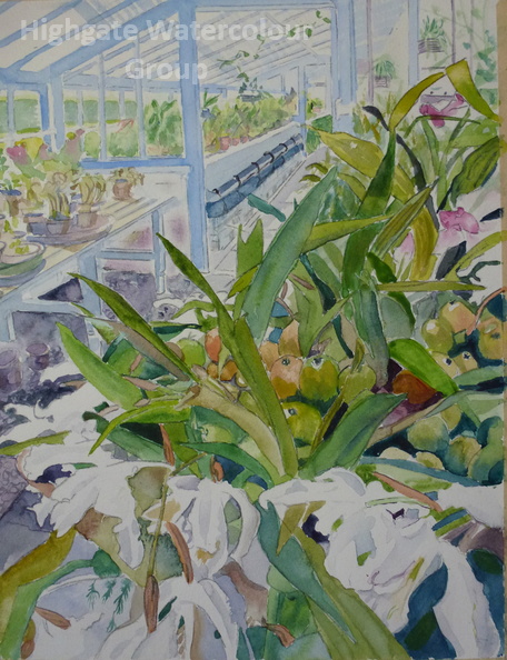 Darwin's Greenhouse.jpg