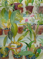 Darwin's Pots