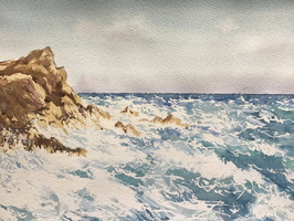Wild Coast