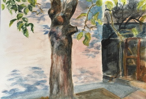 The Apple tree