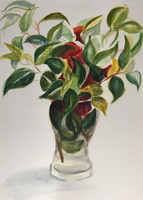 Glass Vase