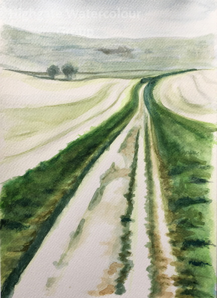 Wilmington Path.jpg