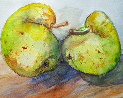 The odd pair from my garden