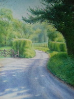 Country Lane