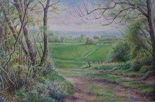 Spring Walk
