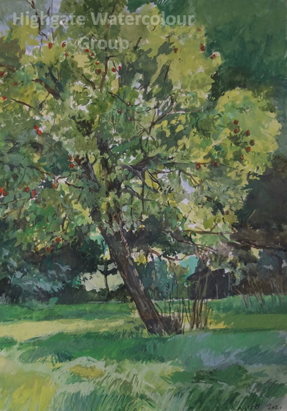 Peter Crab Apple Tree.jpg