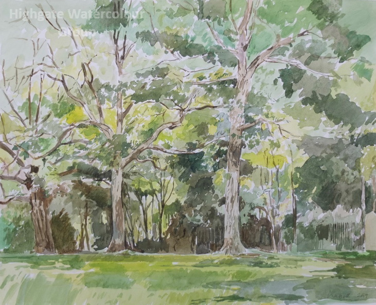 Peter Trees, Waterlow park.jpg
