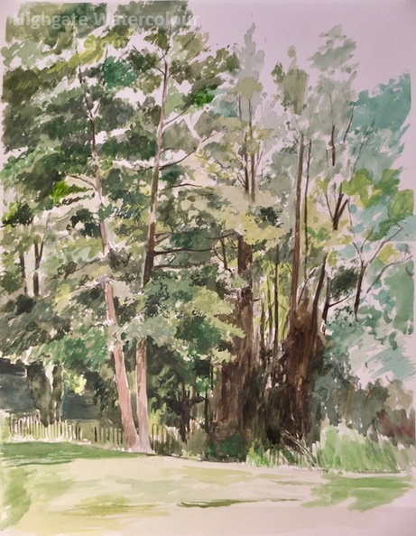 Peter Waterlow Park.jpg