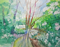 Chris's Crouch End Playing Fields Blossom