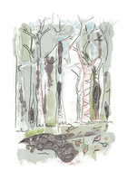 Highgate Woods, 2020