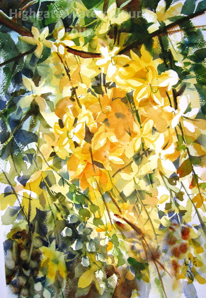 Flower-Laburnum.jpg