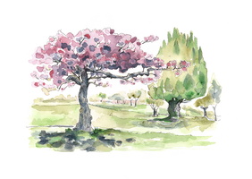 Sakura, 2022