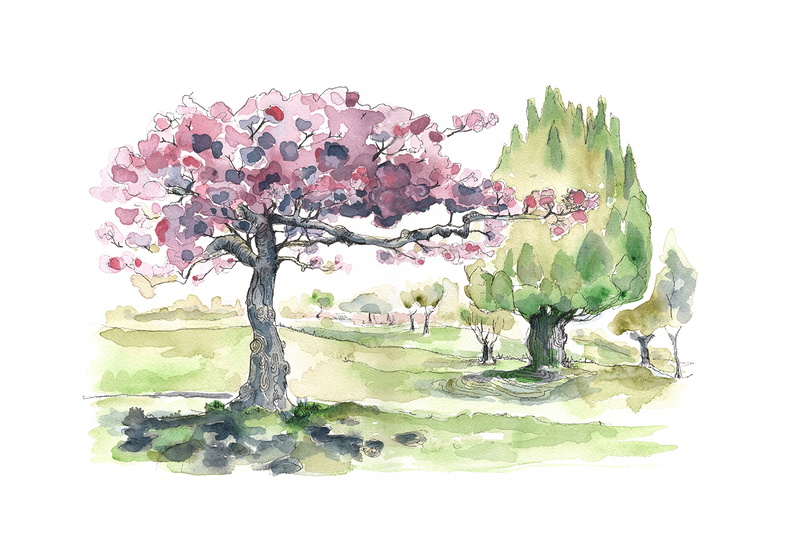 WaterlowCherryBlossom.jpg