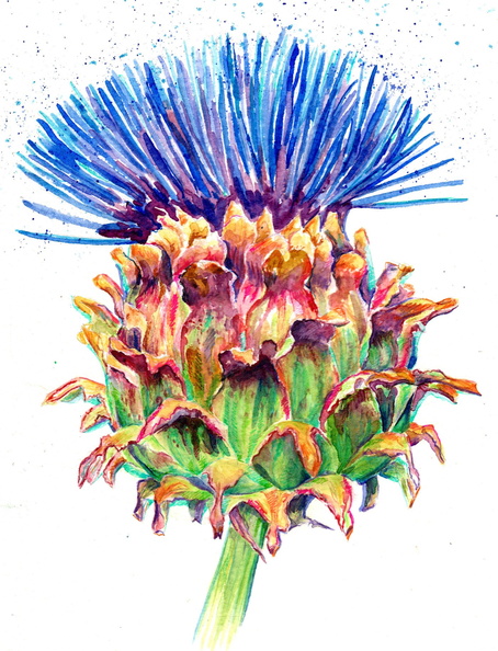 judith artichoke.jpg