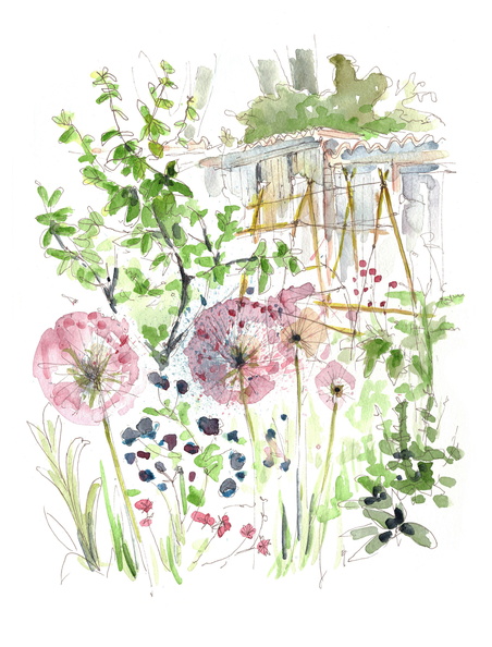 JCF_FitzroyAllotments_LastOfTheAliums.jpg