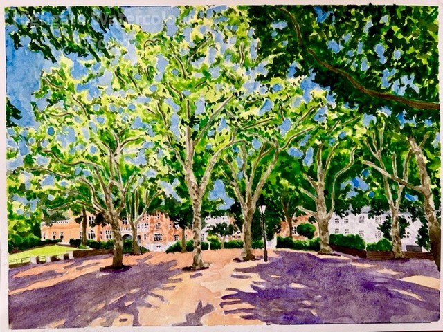 Morley Pond Square - Highgate.jpg