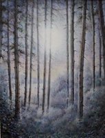 Frosty Night