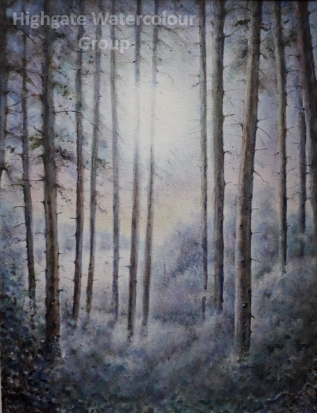 Frosty Night.jpg