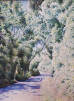 Country Lane