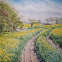 Spring Walk 