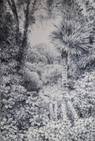 Tregenna Garden