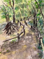 Camley Street Natural Park 