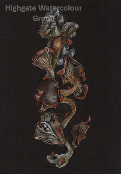 Entwined_A5_2024.jpg