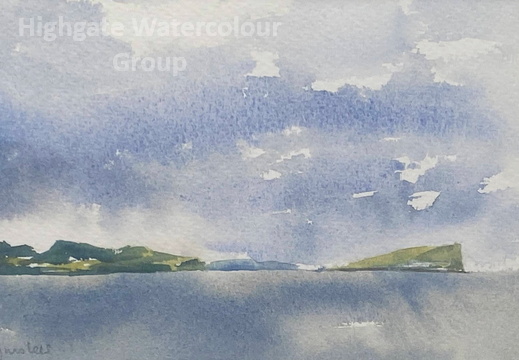 Sue Lees