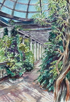 Pergola Vine, The Hill Garden