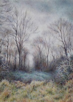 Winter Trees