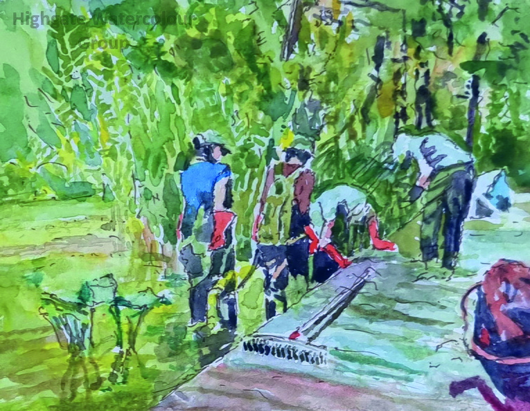 Edmund Gordon Clearing the Pondweed Camley Street Natural Park 300 dpi ex 20240804_112528.jpg